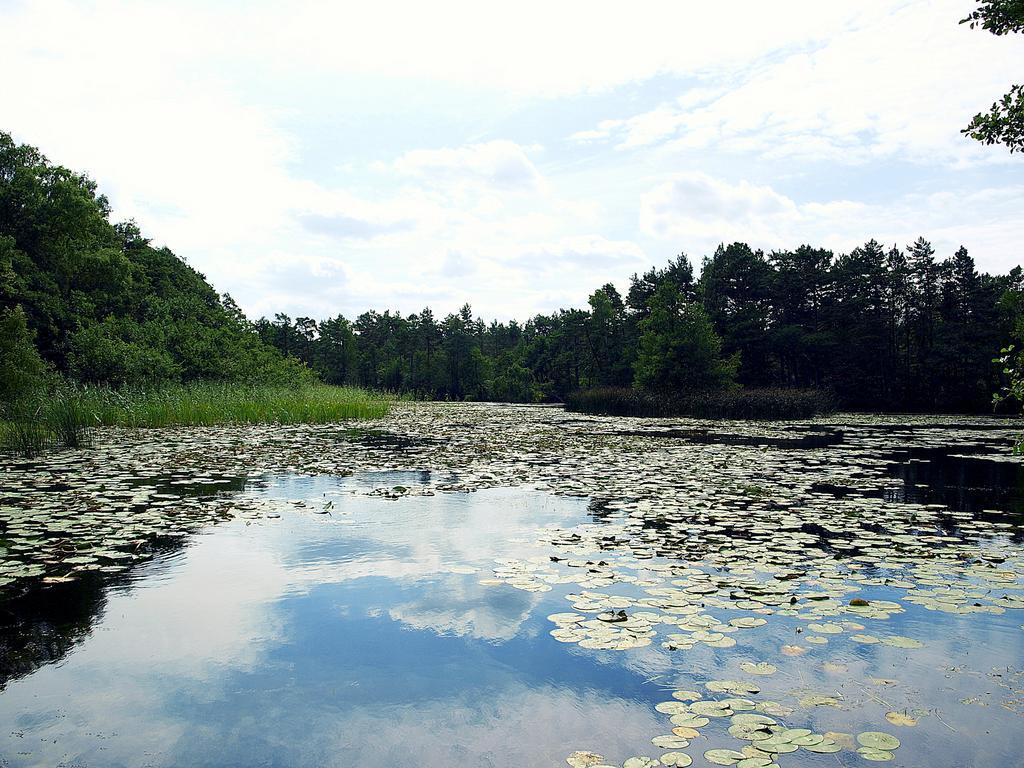 Domek Letniskowy Grazyna Villa Kopalino Kültér fotó